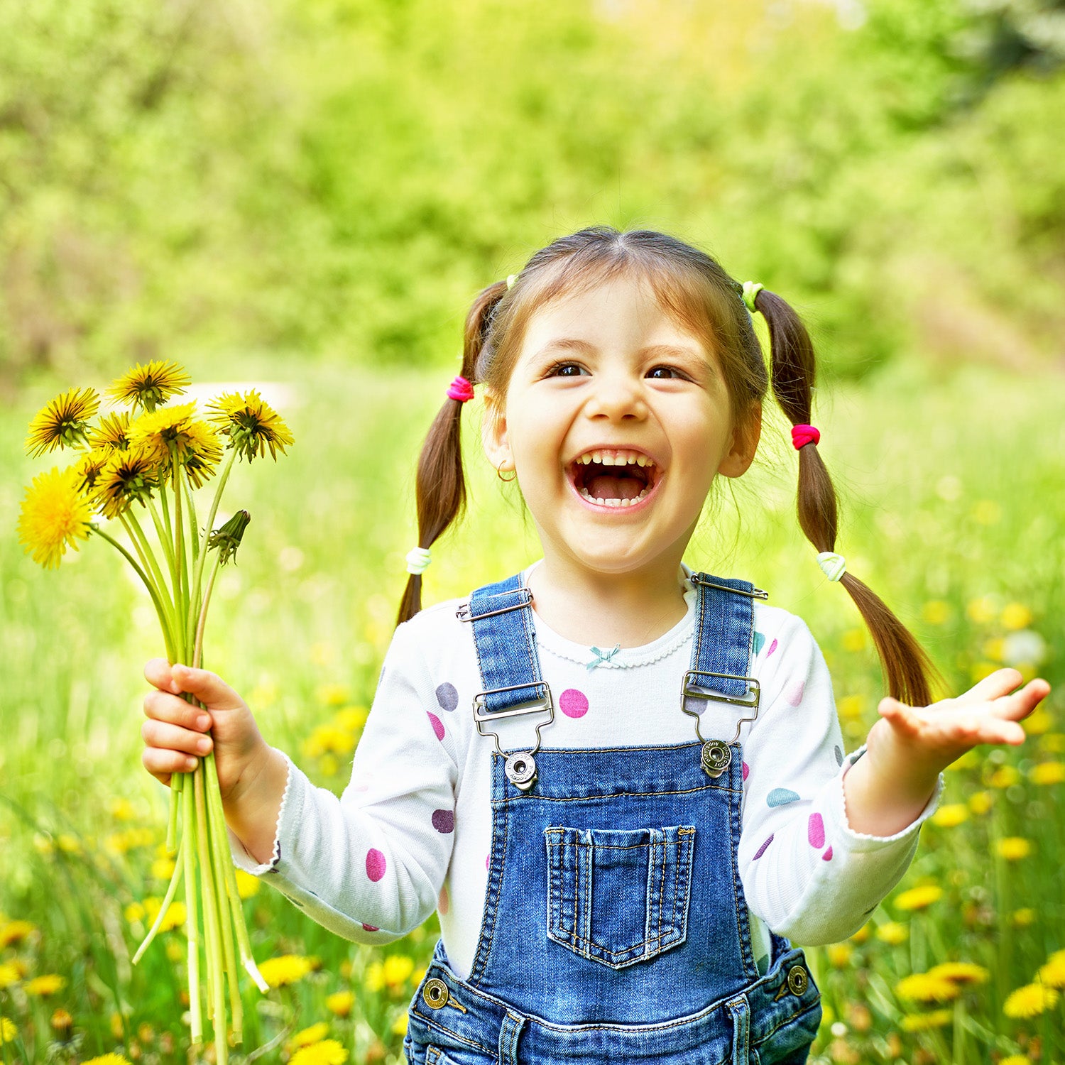 Eco-Friendly & Sustainable