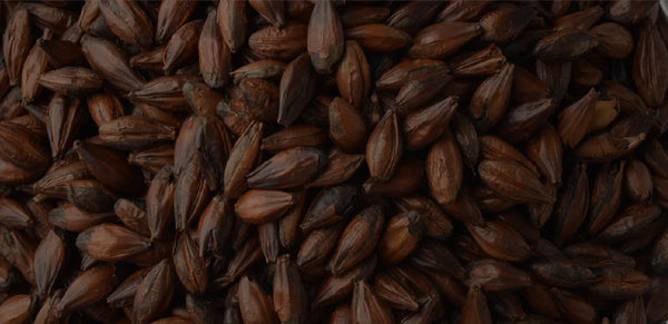 BARLEY MALT