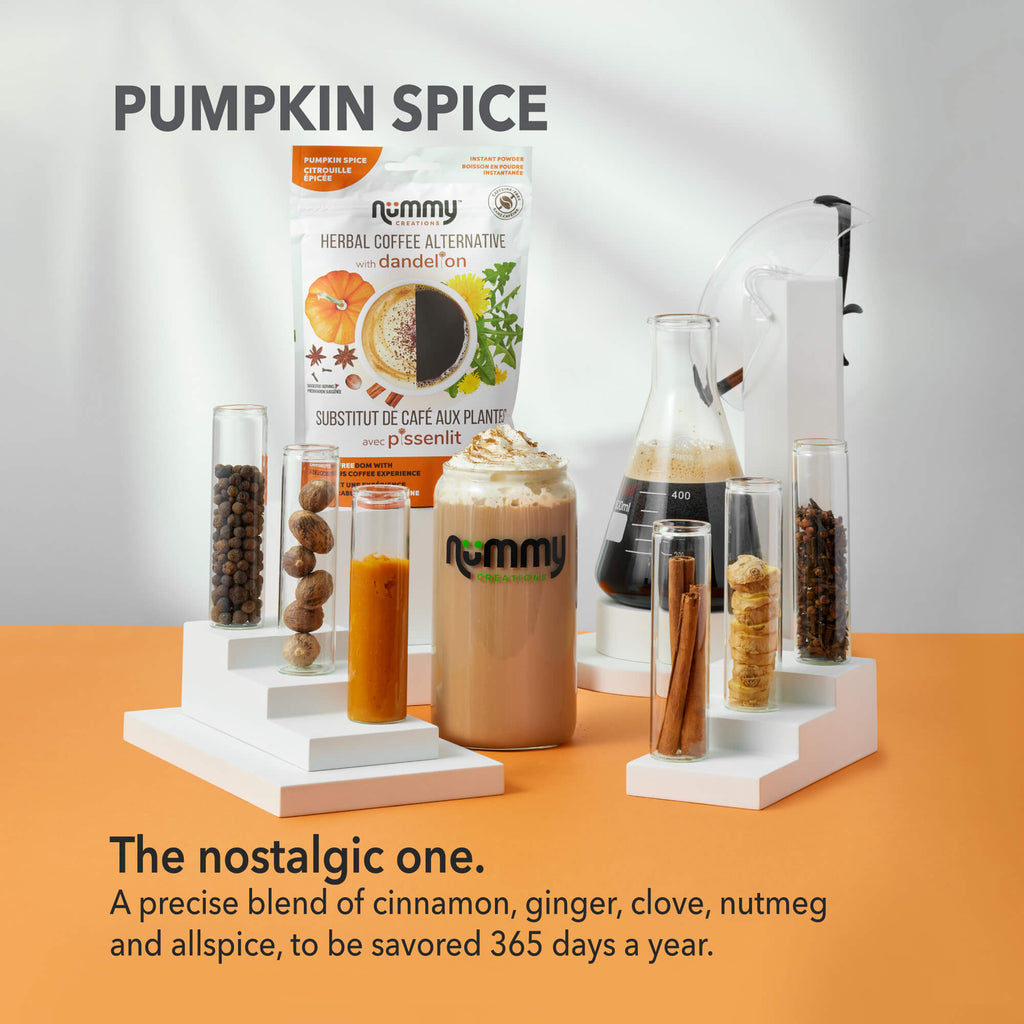Pumpkin Spice - Warm & Nostalgic (150g) Nummy Creations