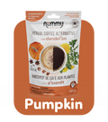 Pumpkin Spice 