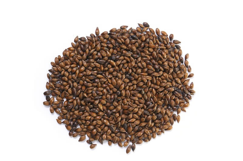 ingredient - Barley malt extract